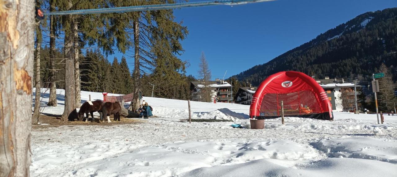 Studio Appartement Avec Piscine, Ski Porte Du Soleil Morgins, Ps3 Games, Wash & Bring Sheets Zewnętrze zdjęcie
